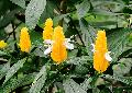 [ pilt: 075X   IMG_1635.JPG ]